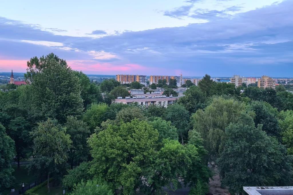 Uroczy, Jasny Apartament Oraz Bezplatny Parking! Daire Krakow Dış mekan fotoğraf